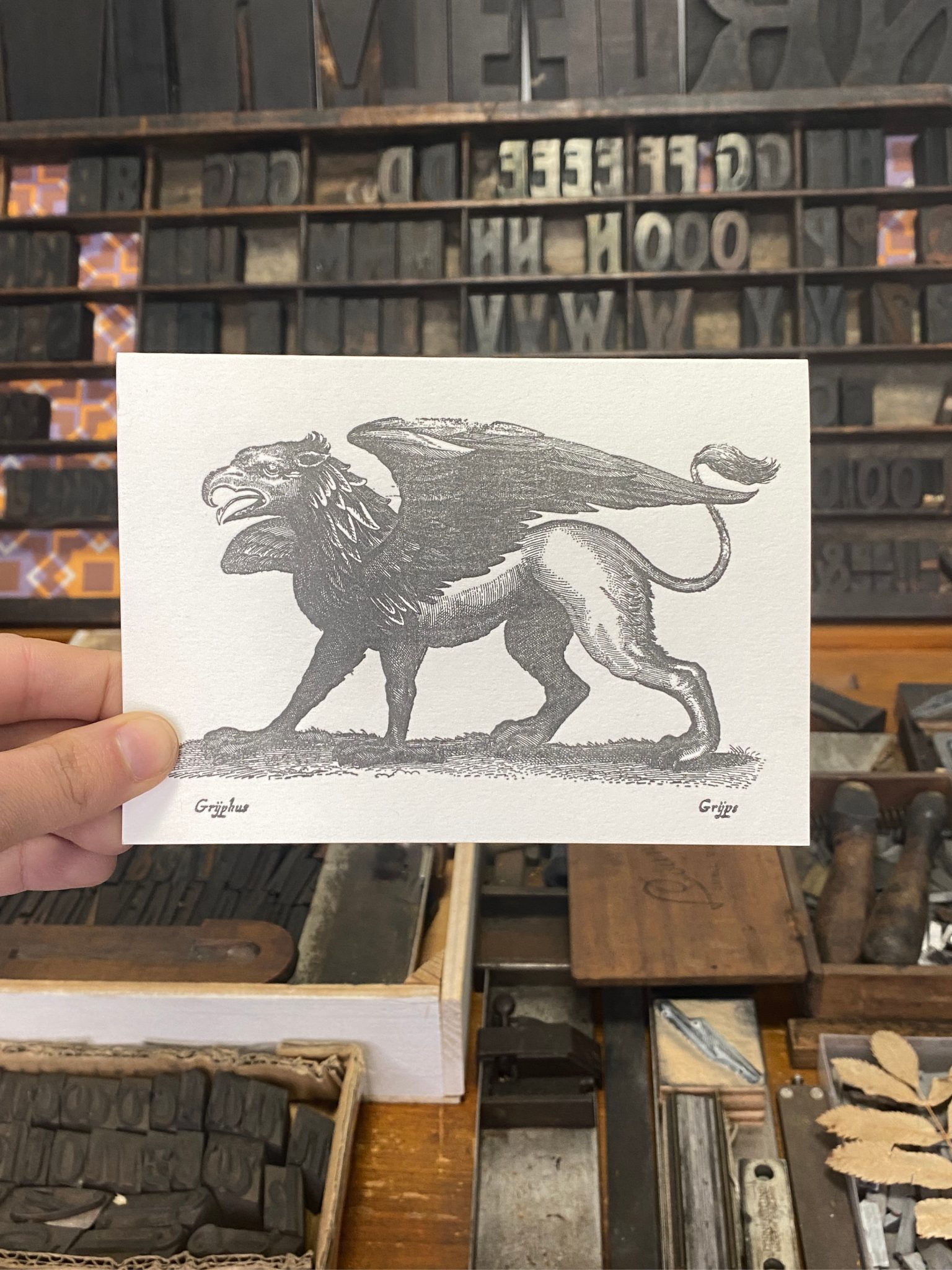 Sanders Griffin Black Griffin