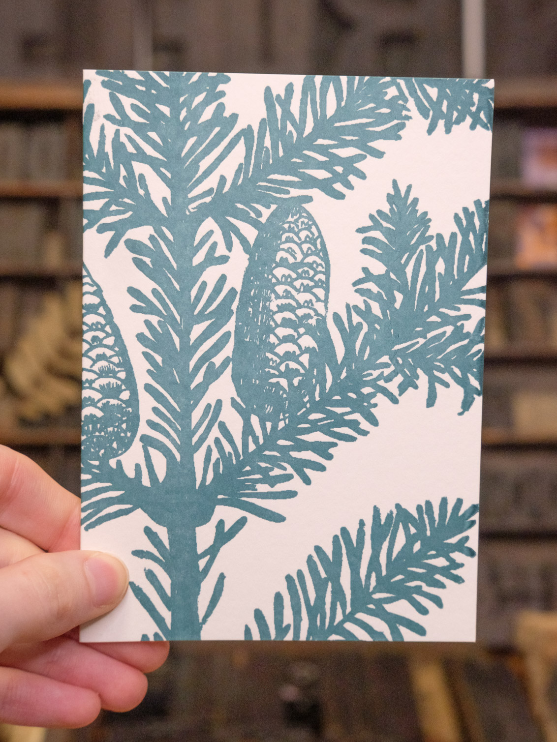 Fir Fir - Determination