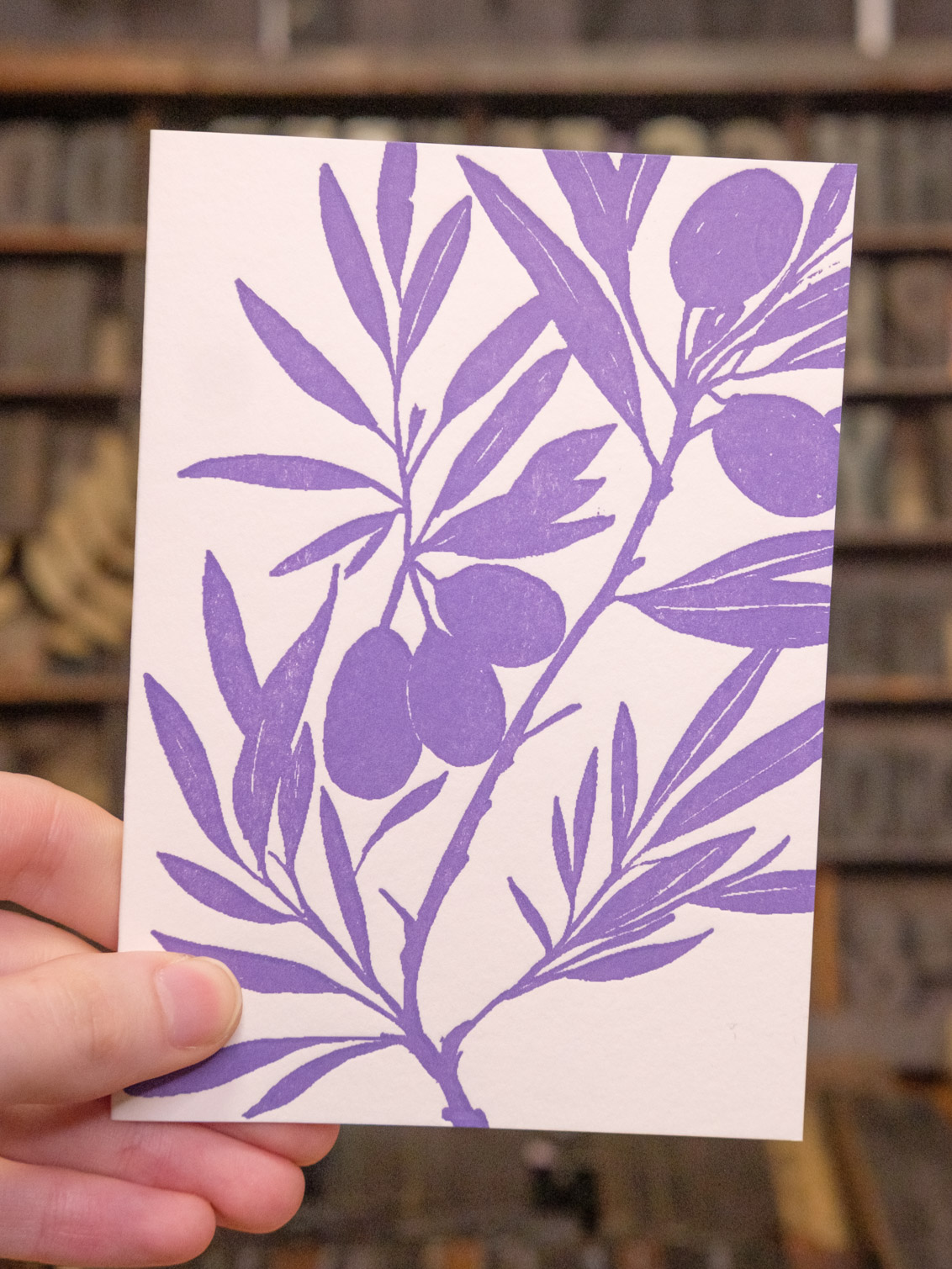 Olive Olive Branch - Peace