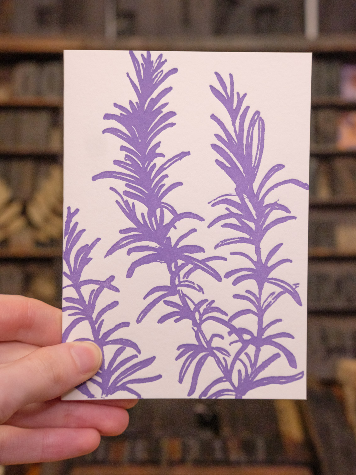 Rosemary Rosemary - Rememberance