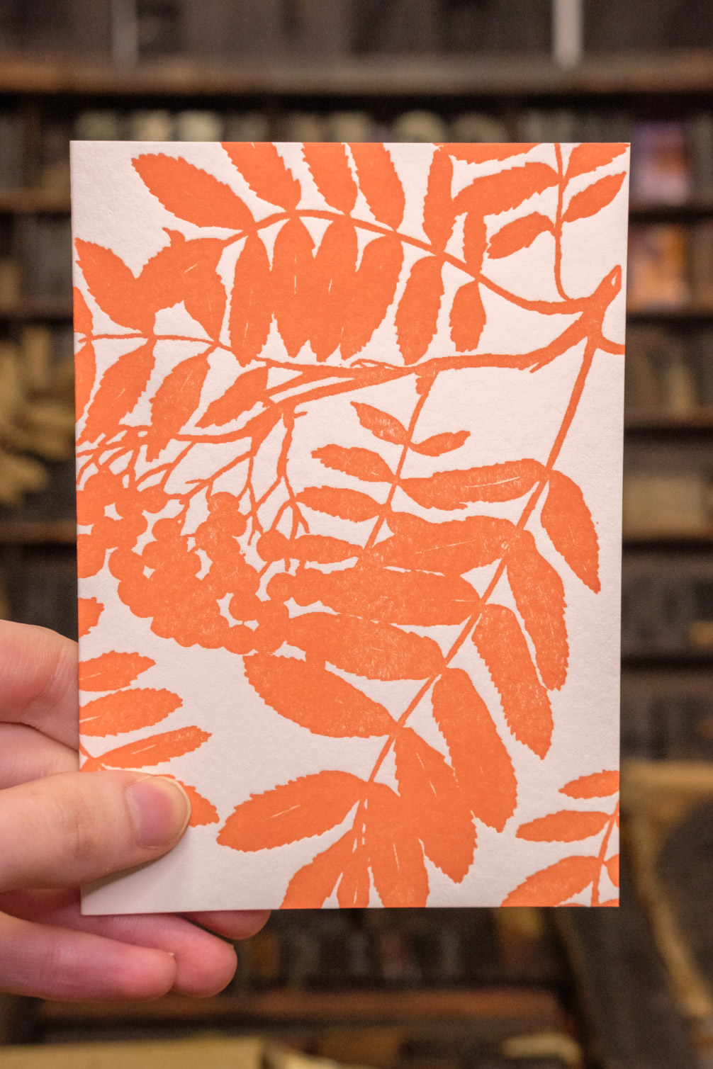 Rowan Rowan - With me you are safe