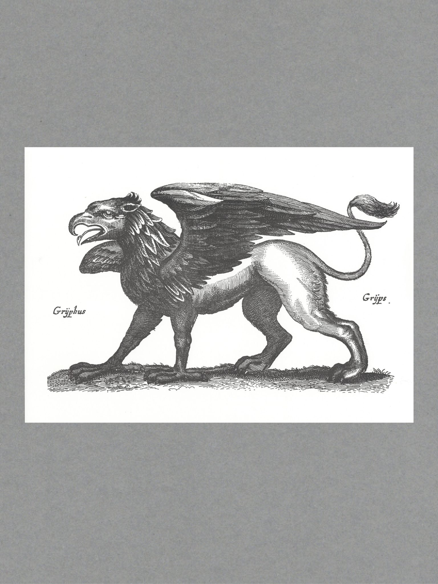 Griffin Black Griffin - A3 Letterpress Print
