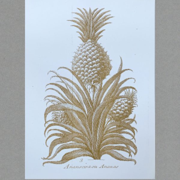 Pineapple - A3 Risograph Print