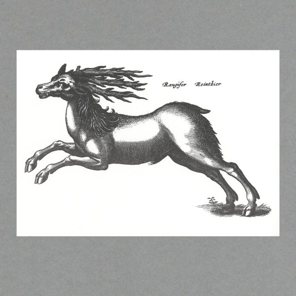Deer - A3 Letterpress Print