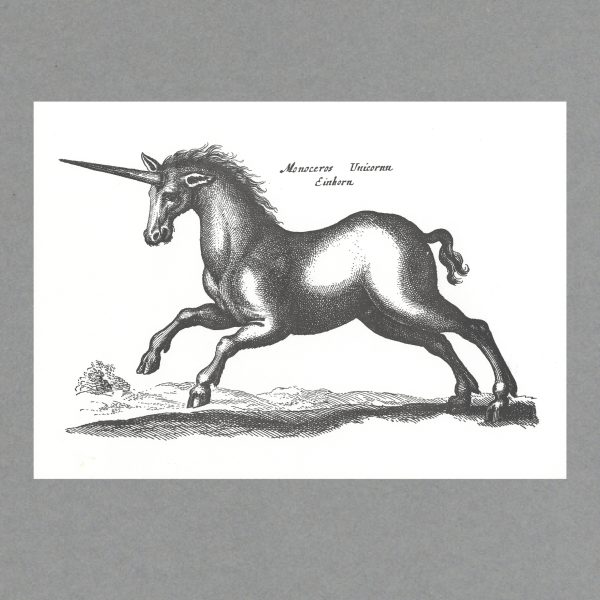 Unicorn - A3 Letterpress Print