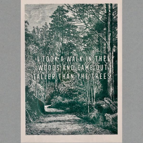 Walk In The Woods - A3 Risograph Print