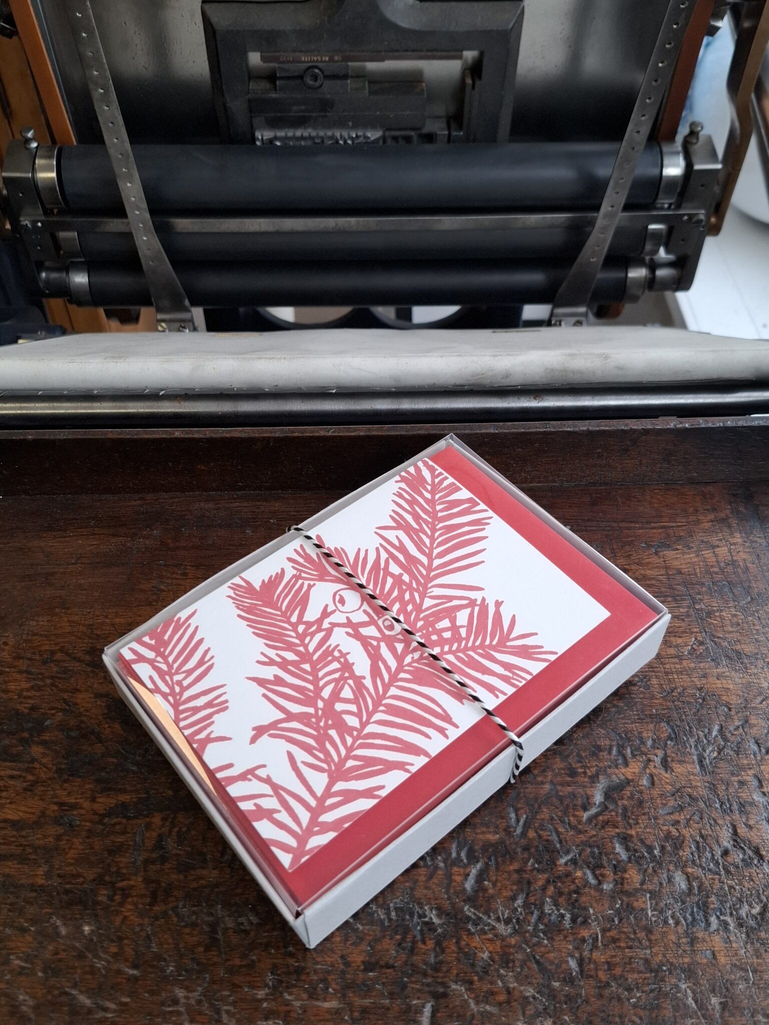 20251011_141202 10 Christmas Cards Variety Pack