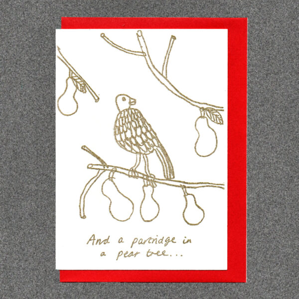 And a partridge in a pear tree.... Christmas Card