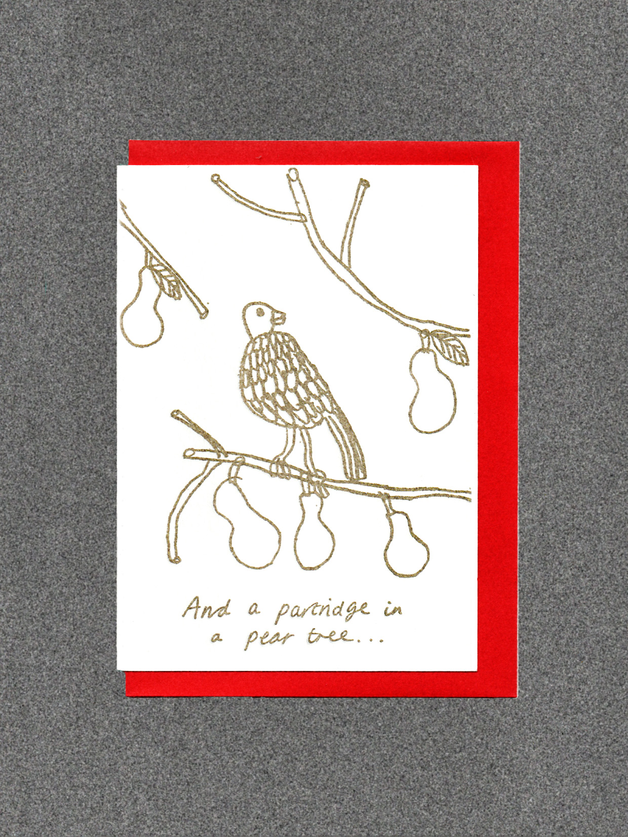 partridge in a pear tree And a partridge in a pear tree.... Christmas Card